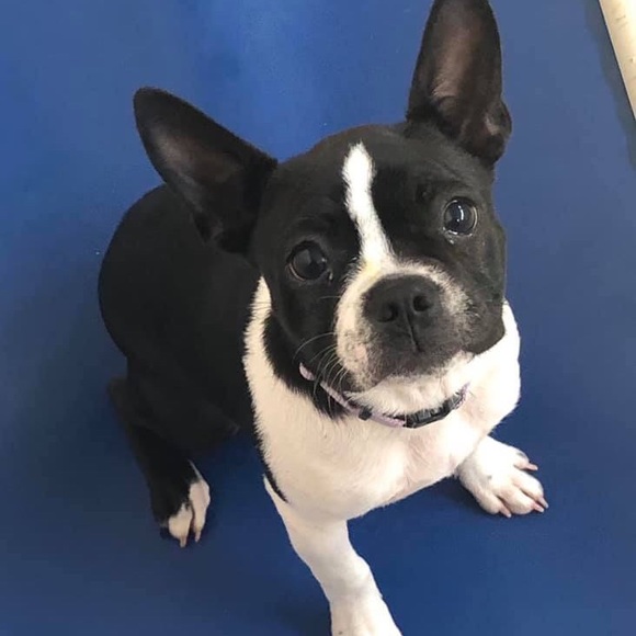 Meet Your Posher, Lori! - Picture 8 of 8